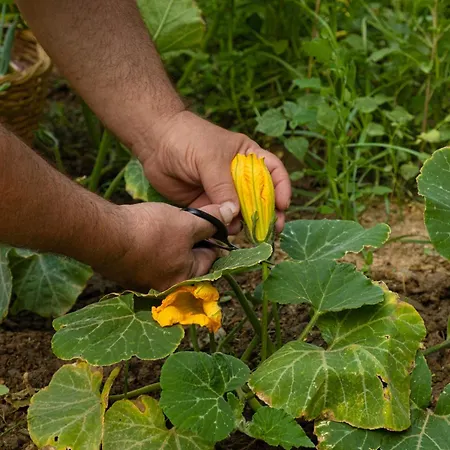 Votsalo Seaside Piso Gialia