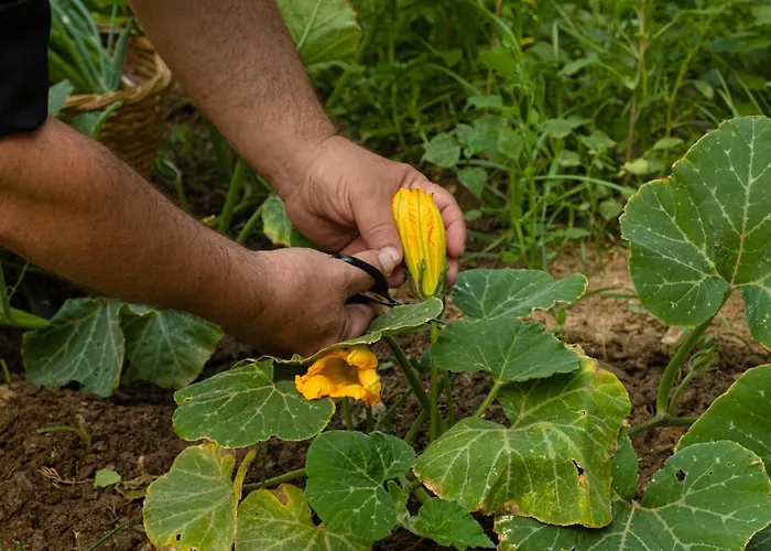 Votsalo Seaside Piso Gialia