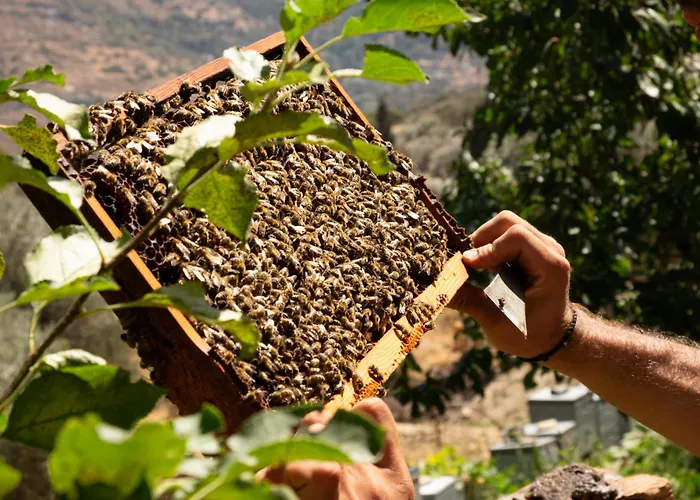 Villa Votsalo Seaside *